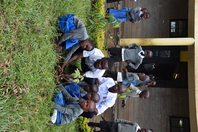annual tree planting day