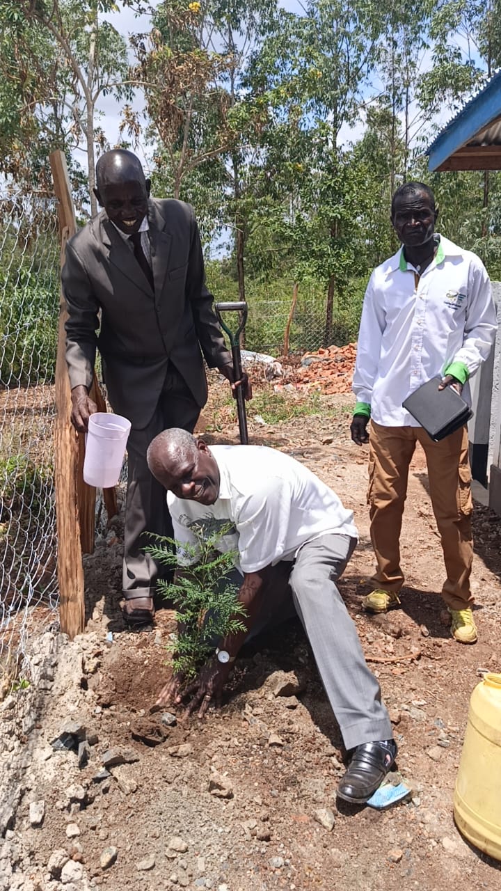 TREE PLANTING EXERCISE 