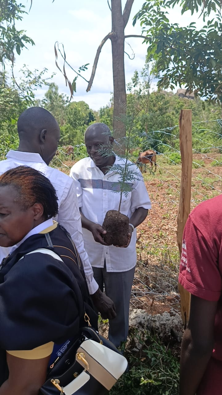 TREE PLANTING EXERCISE 