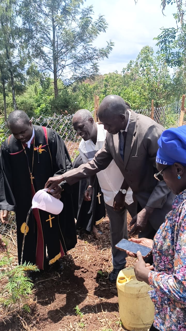 TREE PLANTING EXERCISE 