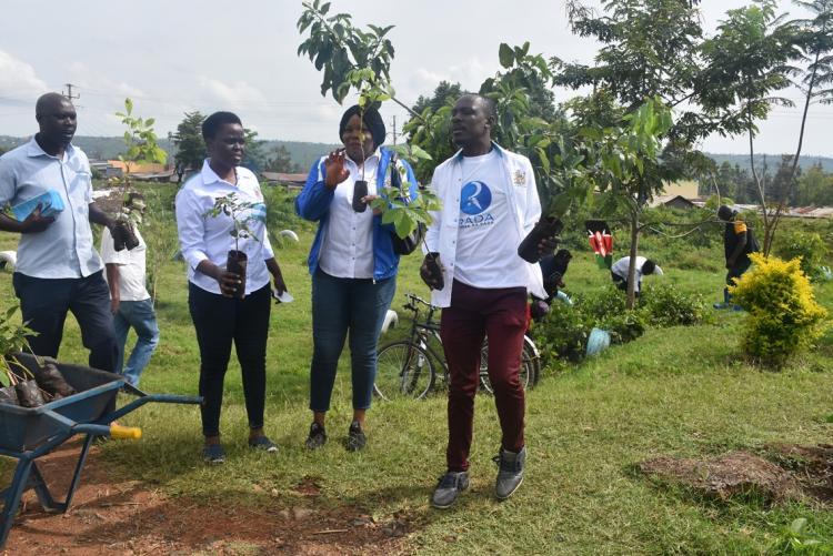Kisumu City Greening Initiative