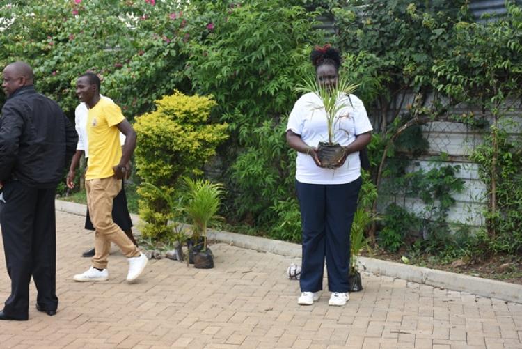 Annual Tree Planting 2026