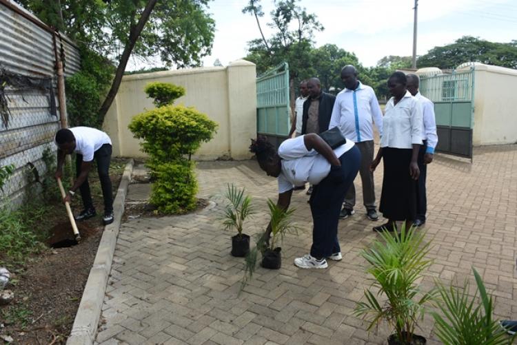 Annual Tree Planting 2026