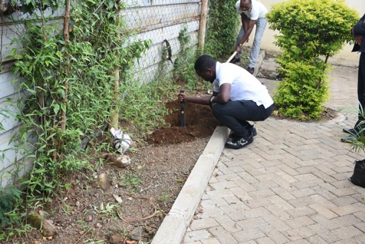 Annual Tree Planting 2026