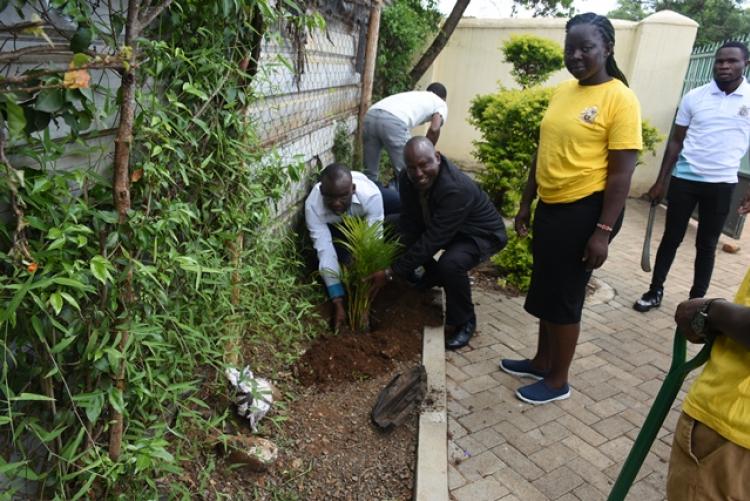 Annual Tree Planting 2026