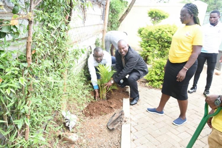 Annual Tree Planting 2026