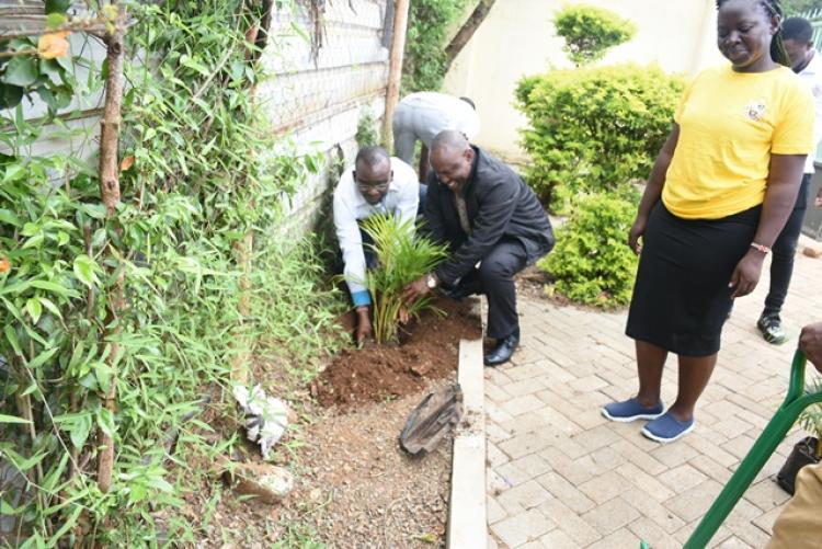 Annual Tree Planting 2026