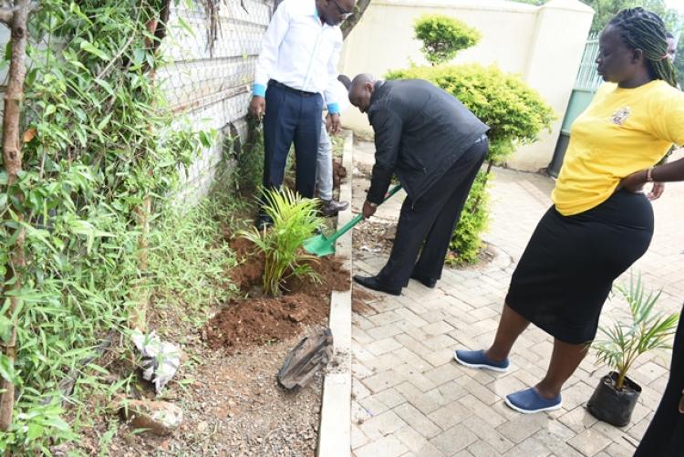 Annual Tree Planting 2026