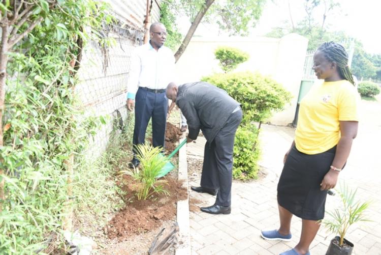 Annual Tree Planting 2026