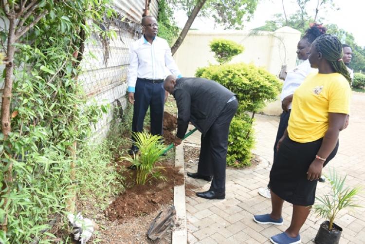 Annual Tree Planting 2026