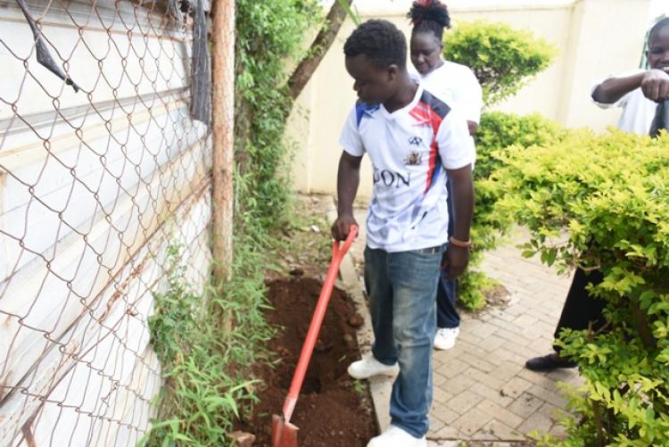 Annual Tree Planting 2026