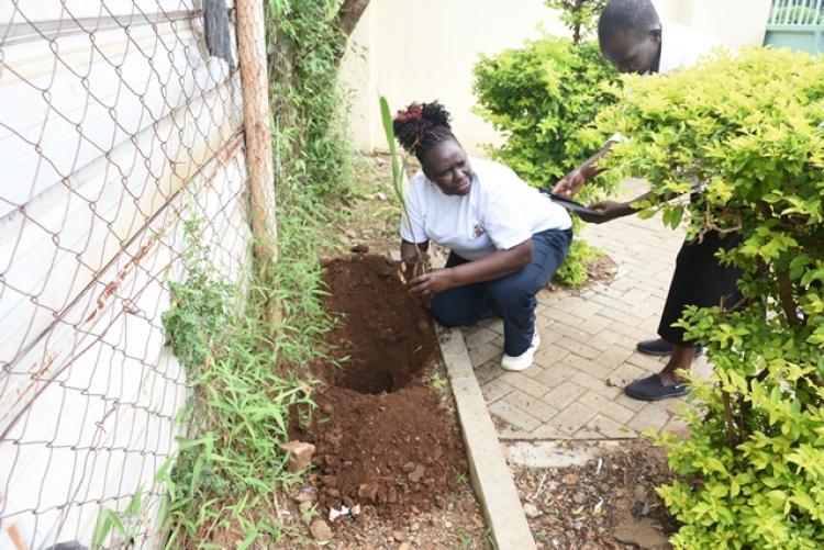 Annual Tree Planting 2026