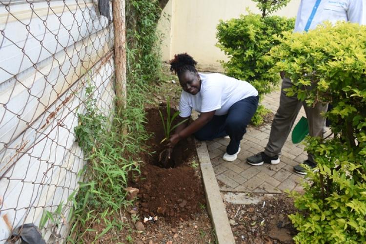 Annual Tree Planting 2026