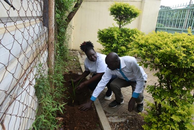 Annual Tree Planting 2026