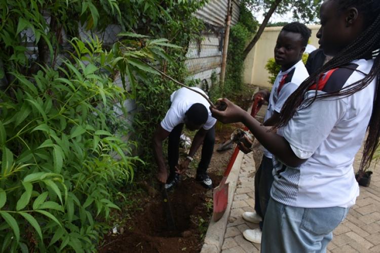 Annual Tree Planting 2026