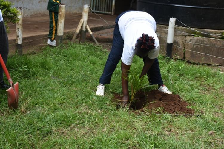 Annual Tree Planting 2026