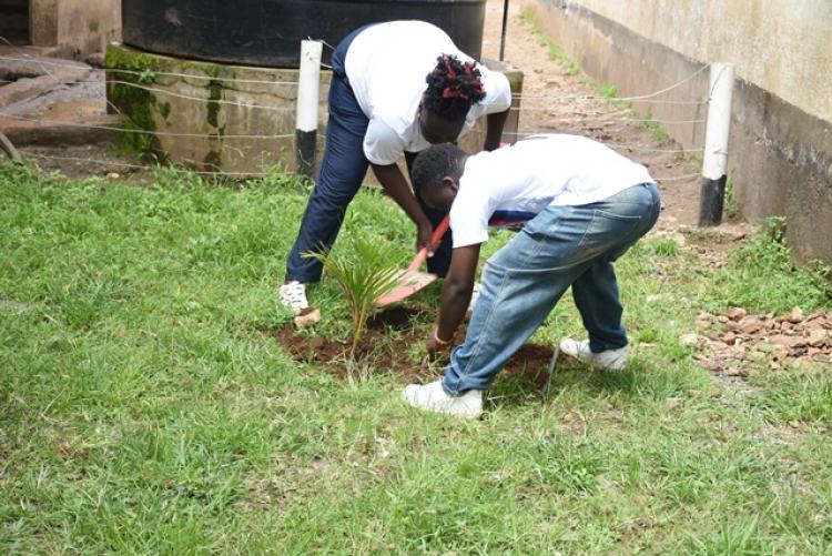 Annual Tree Planting 2026