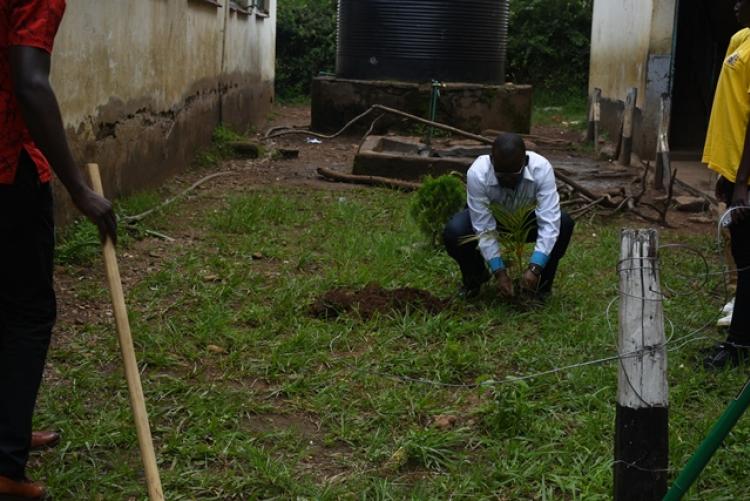 Annual Tree Planting 2026