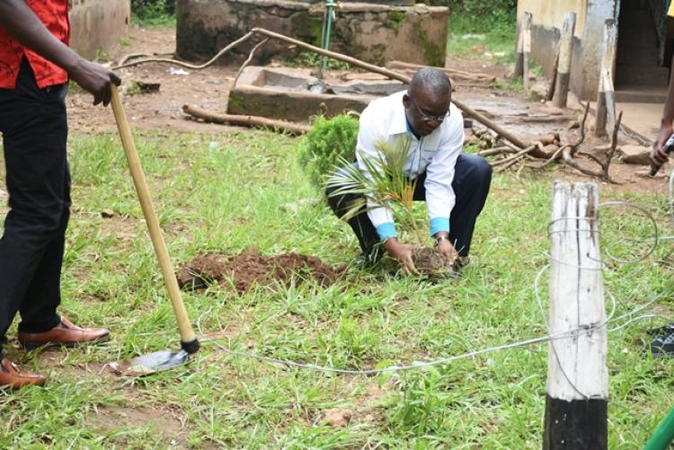 Annual Tree Planting 2026