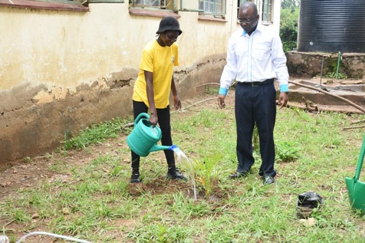 Annual Tree Planting 2026