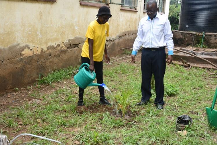 Annual Tree Planting 2026