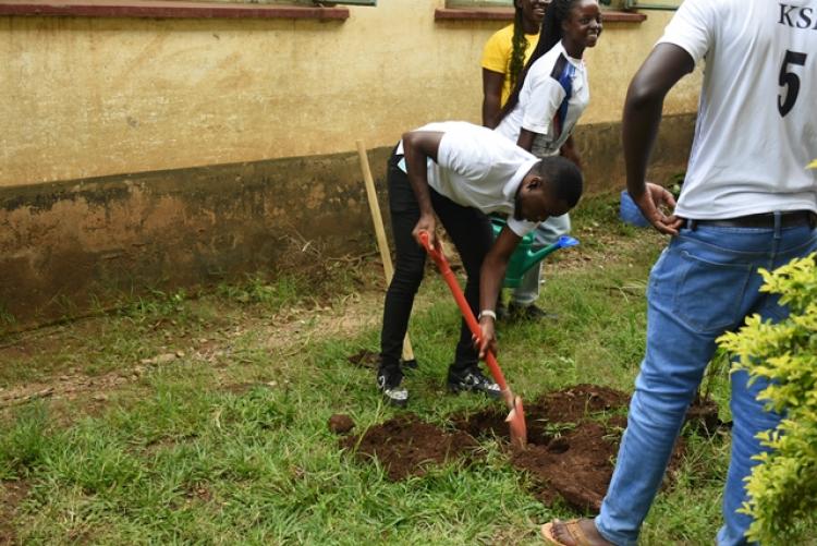 Annual Tree Planting 2026