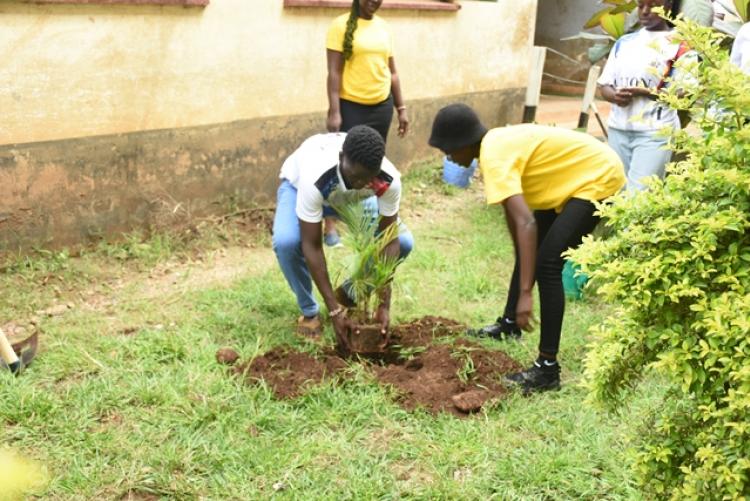 Annual Tree Planting 2026