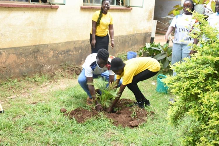 Annual Tree Planting 2026