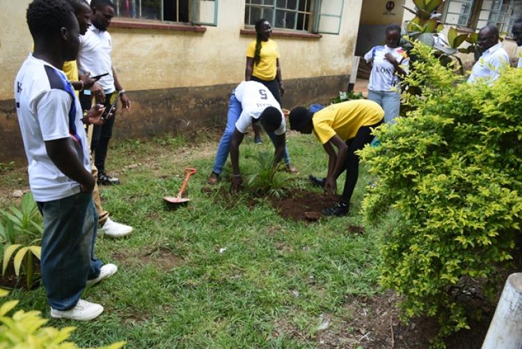 Annual Tree Planting 2026