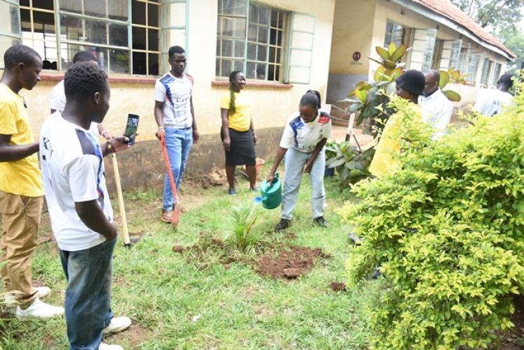 Annual Tree Planting 2026