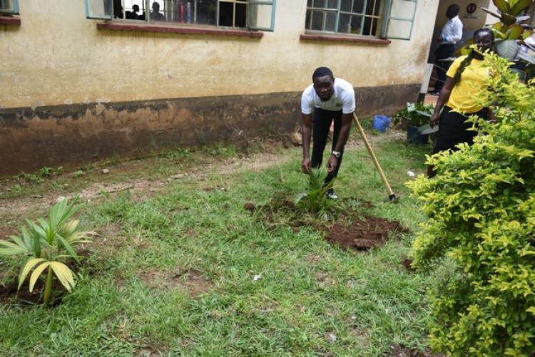 Annual Tree Planting 2026