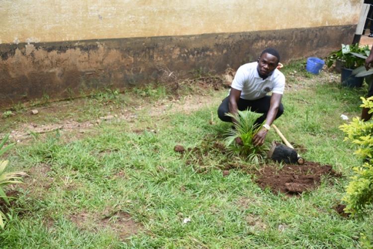 Annual Tree Planting 2026