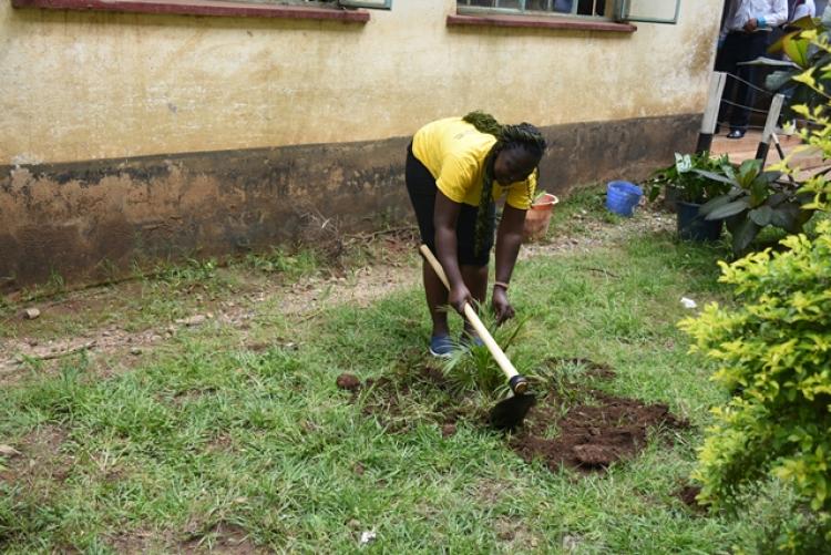 Annual Tree Planting 2026