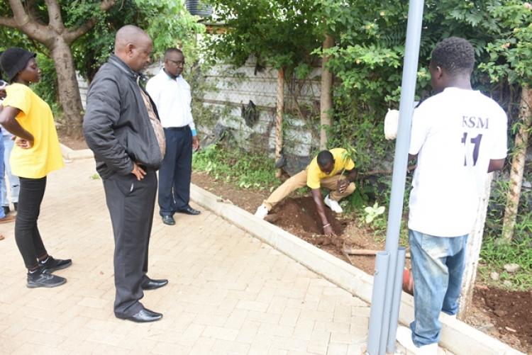 Annual Tree Planting 2026