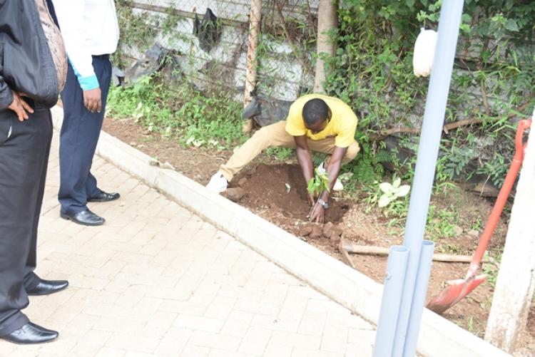 Annual Tree Planting 2026
