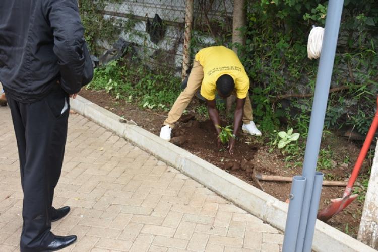 Annual Tree Planting 2026