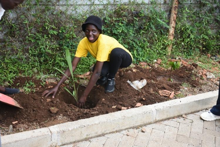 Annual Tree Planting 2026