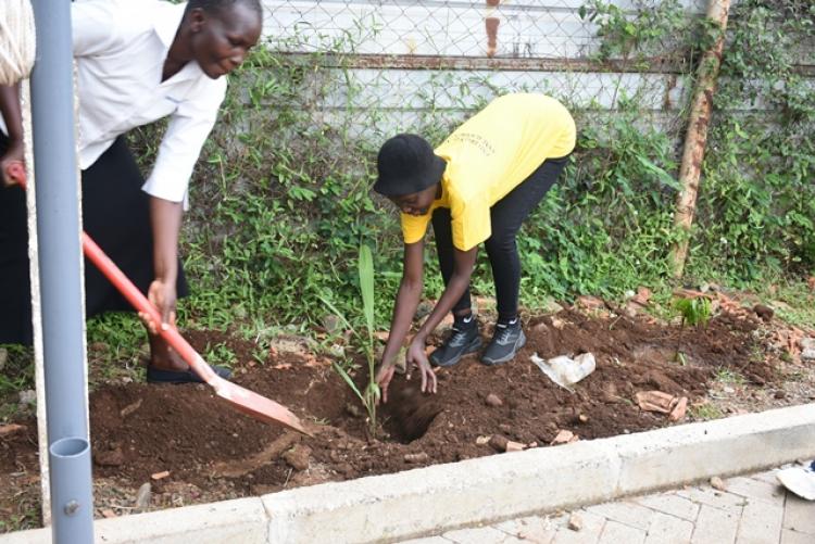 Annual Tree Planting 2026