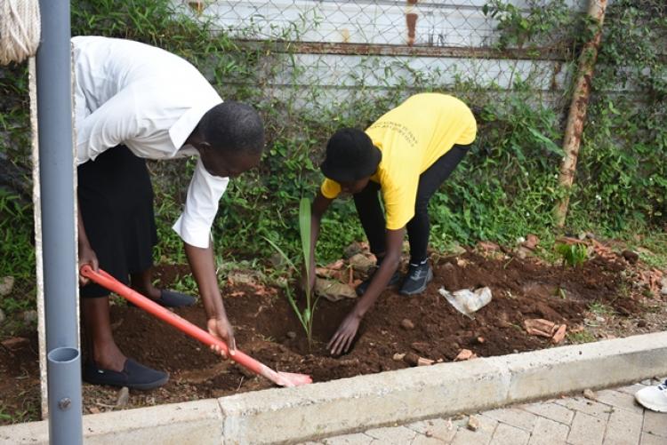 Annual Tree Planting 2026