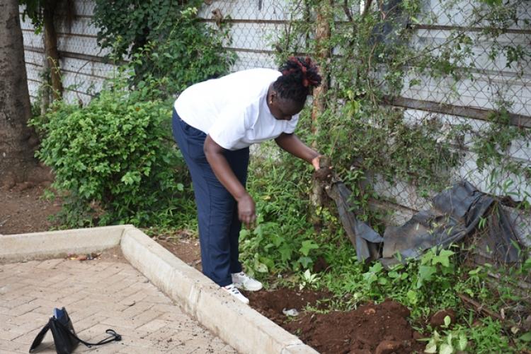 Annual Tree Planting 2026