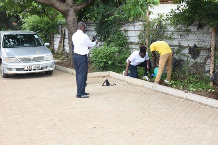 Annual Tree Planting 2026