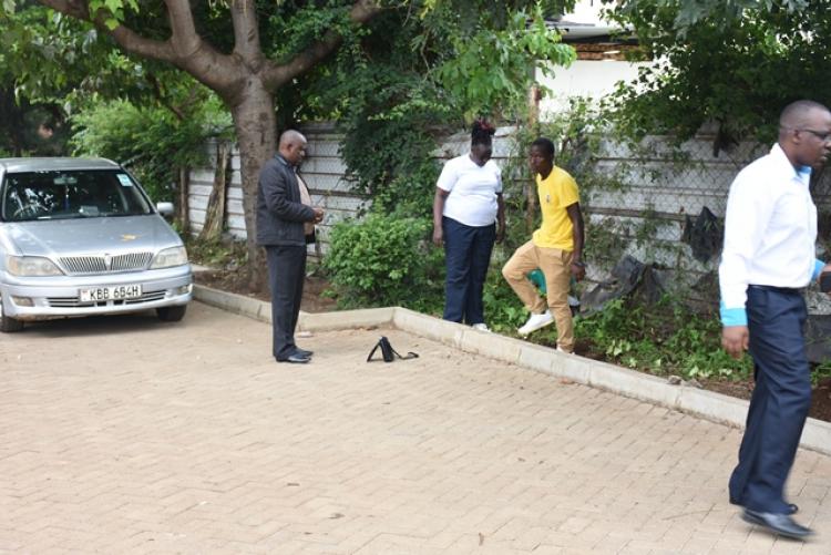 Annual Tree Planting 2026