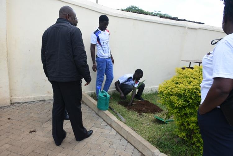 Annual Tree Planting 2026