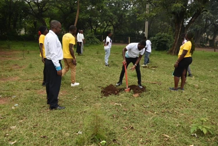 Annual Tree Planting 2026