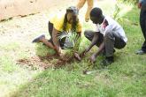 Annual Tree Planting 2026